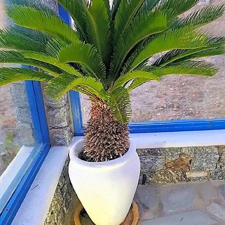 Mykonos Welcome Aparthotel 3*